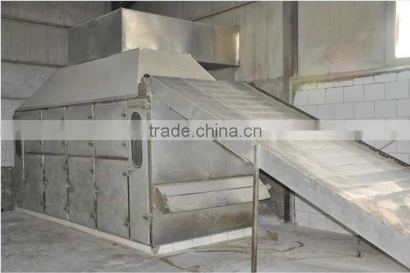 Pure White Onion Powder 100-120Mesh