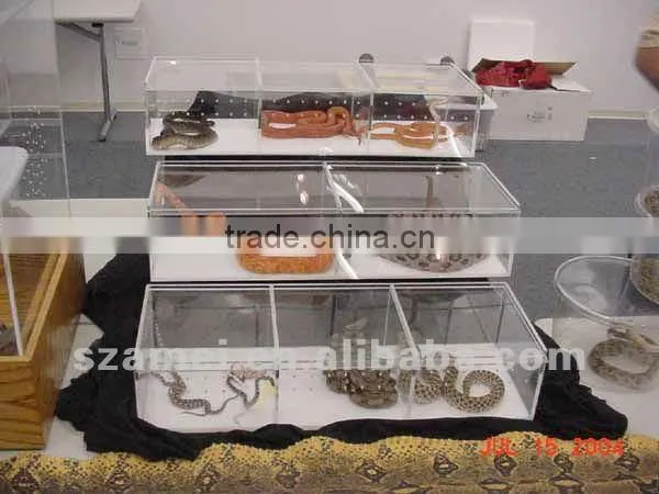 acrylic reptile display case