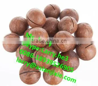 bauple nut opener machine/bauple nut opening machine/bauple nut opener