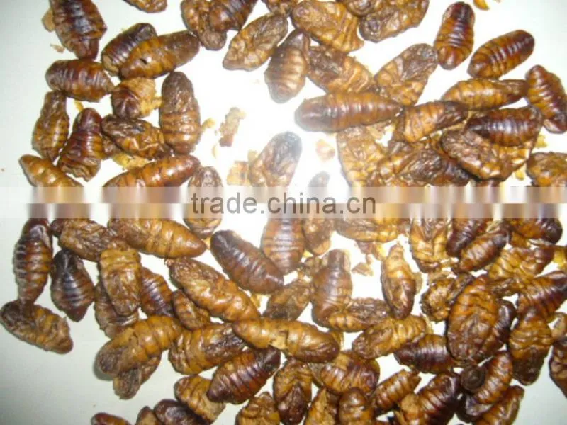 Hot-air drying silkworm Pupae