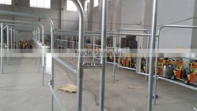 Dairy Farming Milking Equipment Automatic Milking Parlor