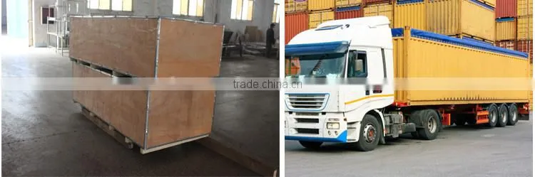 Pig Abattoir Equipment For Subsection Saw/Slaughterhosue Equipment