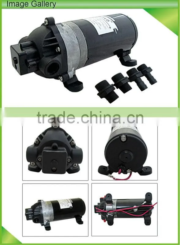 Singflo DP-160 160psi 5.5LPM 220v/12v high pressure sea water pump