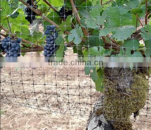 width 2m, length 50m bird netting