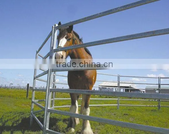 horse fence