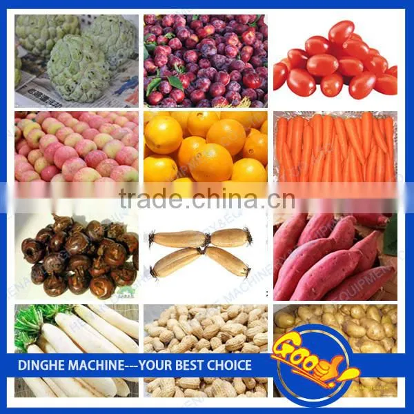 China supplier hair brush roller potato washer and peeler machine
