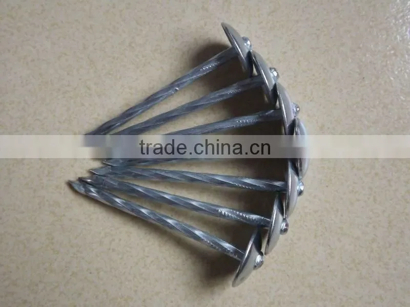 Hot-selling polished common nails / roofing nails / flat head nails