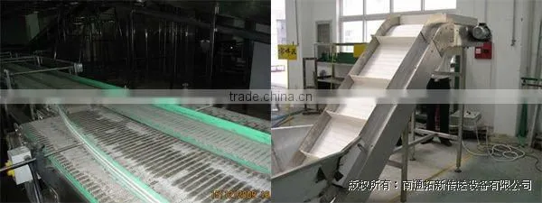 FLS254 Radius Belt
