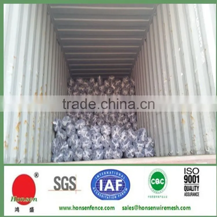 white extruded mesh/extruded plastic mesh/netting/plastic plain net