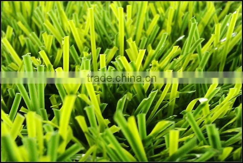 (A6-50D115)2013 Popular Commercial Used Garden Grass