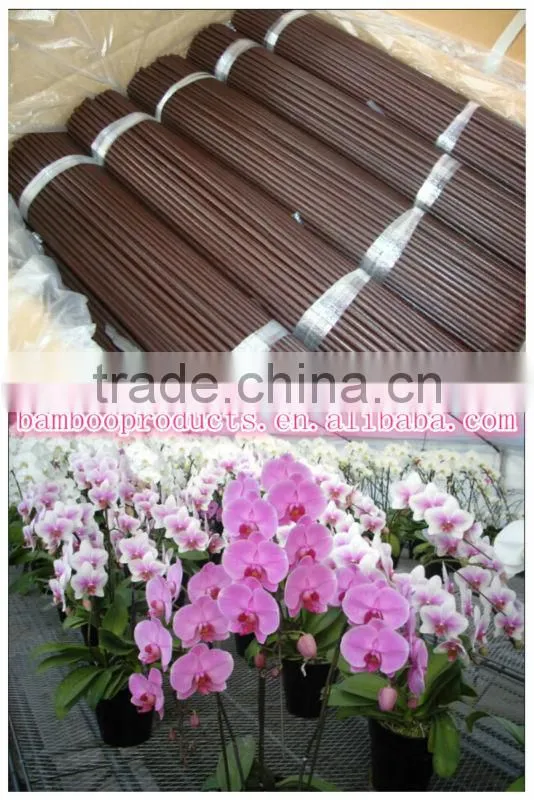 Garden Stakes Wholesale