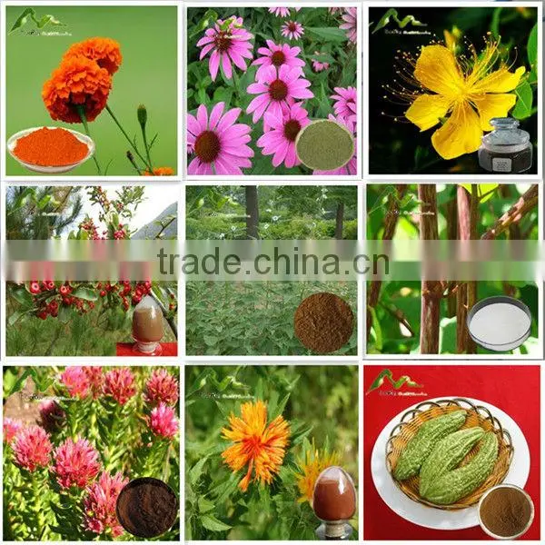 Nautal Extract Pure White Garlic Powder
