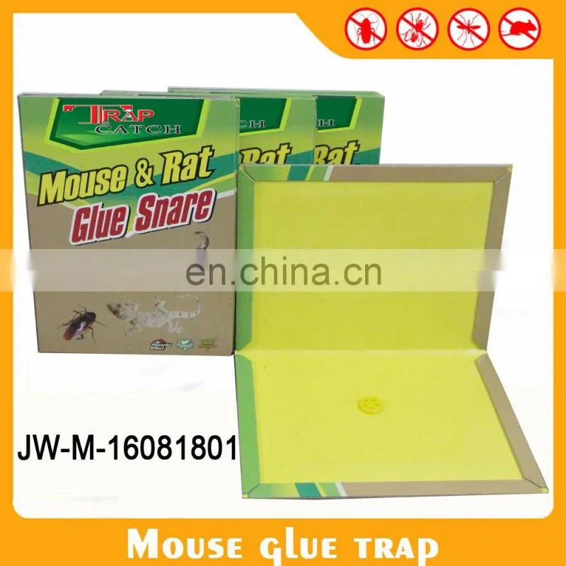 Wholesales rat glue trap mouse glue trap rat glue board
