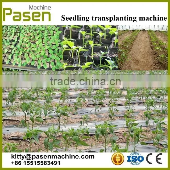 Easy to operate Vegetable transplanter | Seeding machine | Vegetable transplanting machine