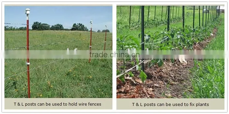 pvc coated high quality cheap 1.25lbs long life time 40mmx40mm t post for china