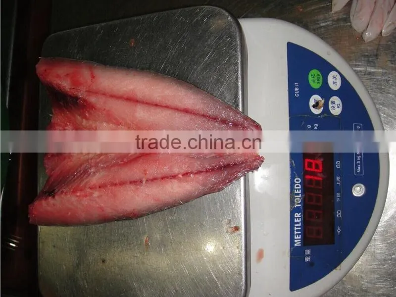 frozen block mackerel flaps