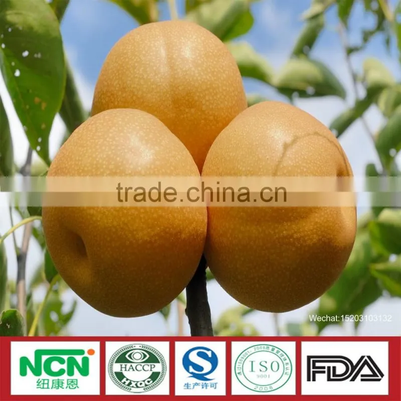 2016 Fresh Grown pear