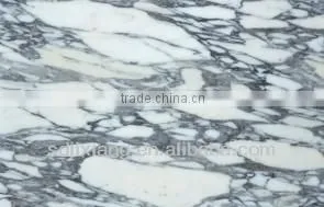PE/PVDF Aluminium Composite Panel/ACP/ACM For Building/Decoration Materials