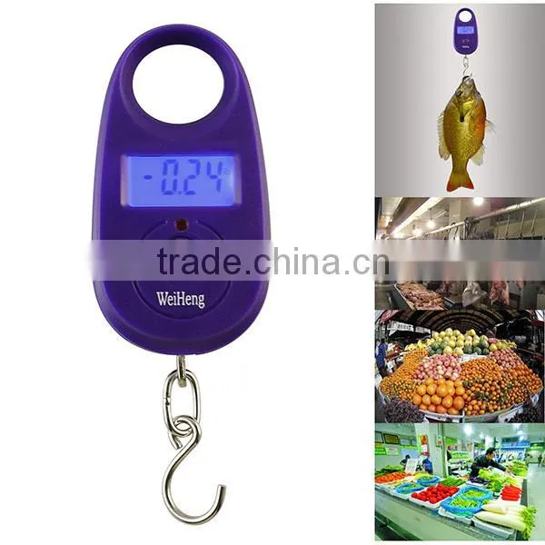 25kg/5g Blue Backlit Shopping Travel Pocket Digital Electronic Scale