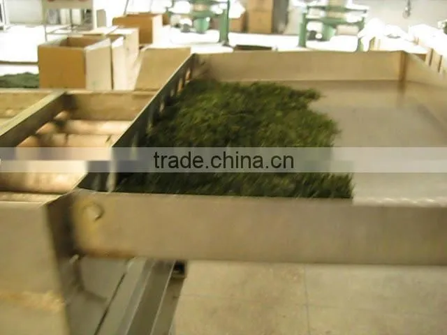 Chinese organic green tea supergreen