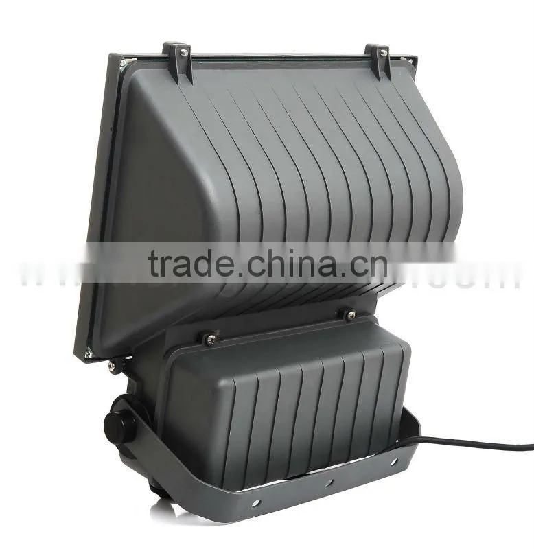 2005 newest outdoor led flood Lighting 80w CE/RoHS IES