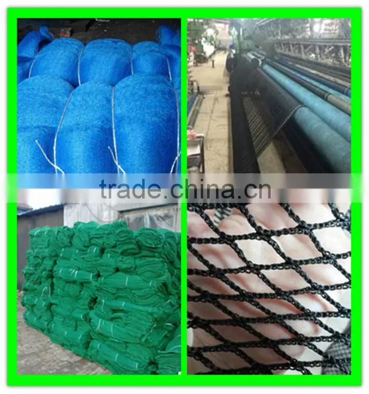 Clear anti bird hail cover net/uv resistance woven mesh net/reinforced hail guard net