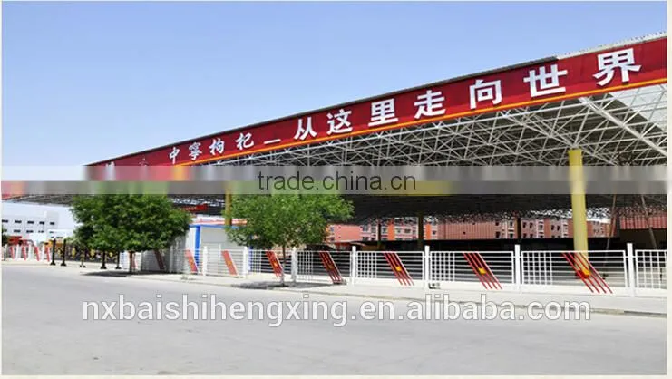 Medicinal edible healthy Goji berries fruit Ningxia medlar Dried Gou Qi Zi Boxthorn fruit