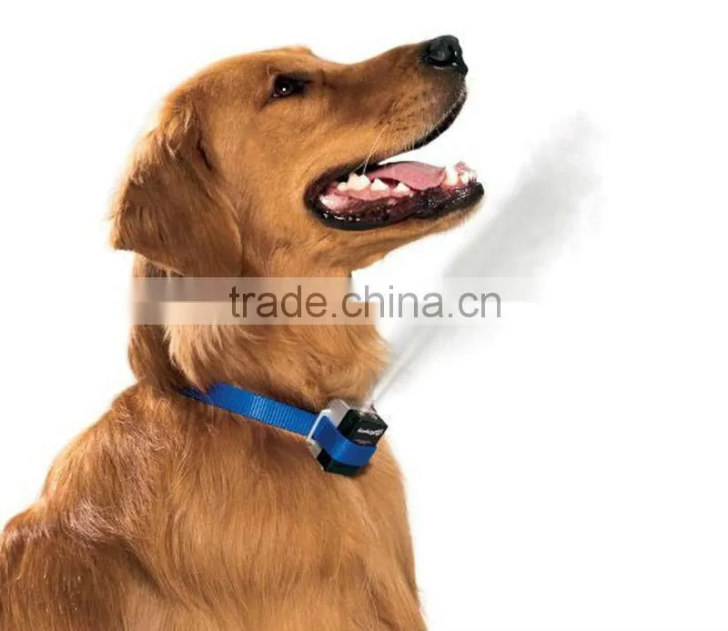Hot Selling assorted high quality tpu dog collar