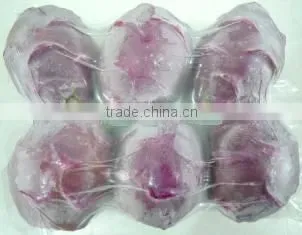 BEST PRICE VIETNAM FROZEN DURIAN