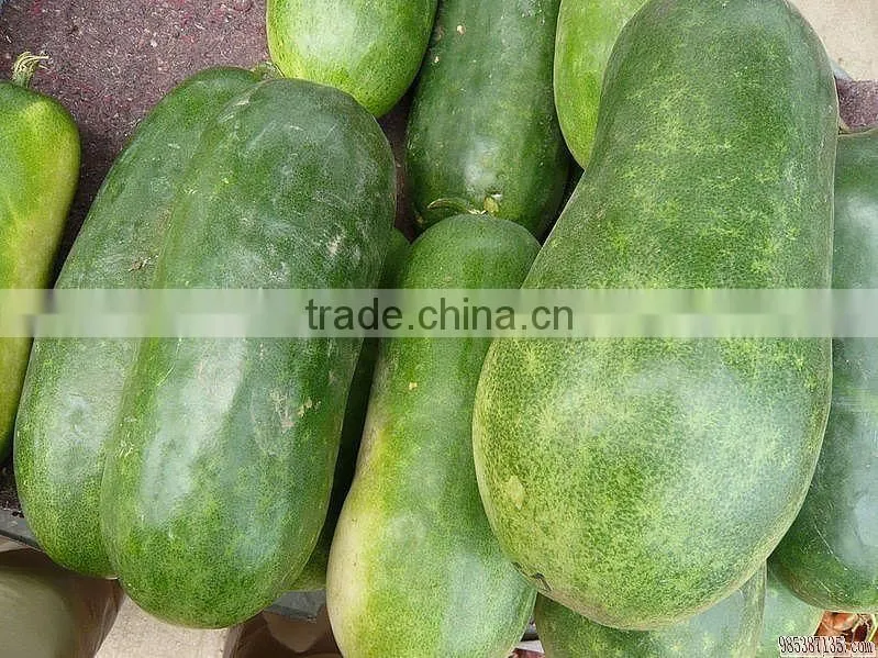 Pawpaw peeler equipment with capacity 240pcs/h