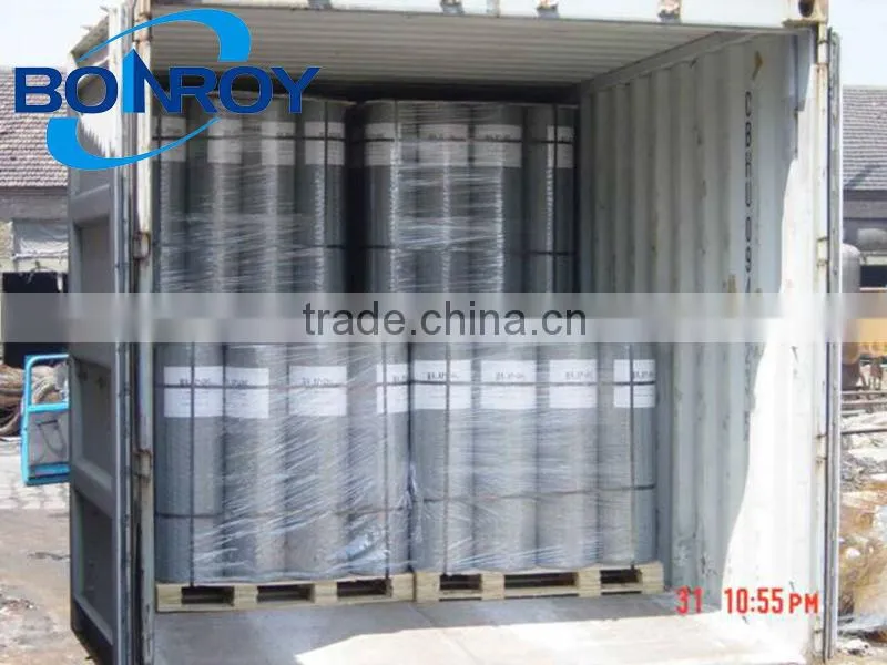 1/4 inch pvc coated galvanized welded wire mesh