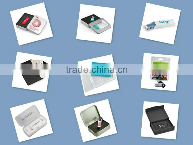 2016 Transparent plastic USB memory card usb flash drive