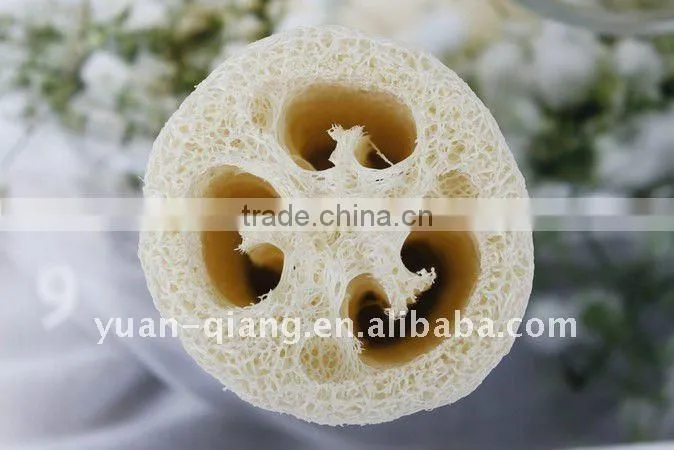 Natural Loofah