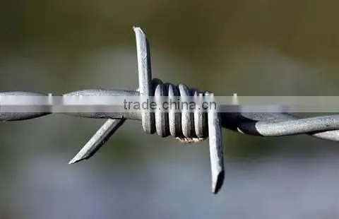 Hot Popular Low Price Galvanized Barbed Wire