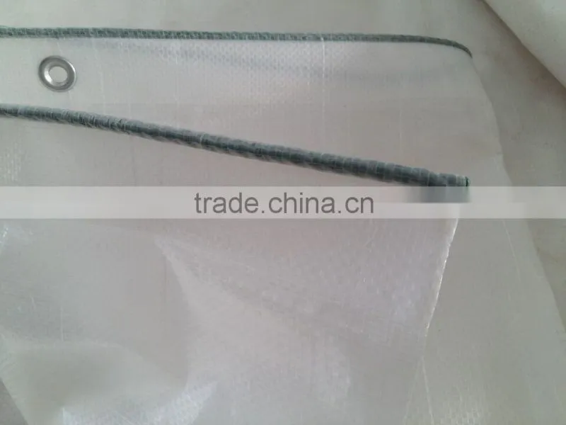 Clear transparent pe laminated fabric grape tree cover