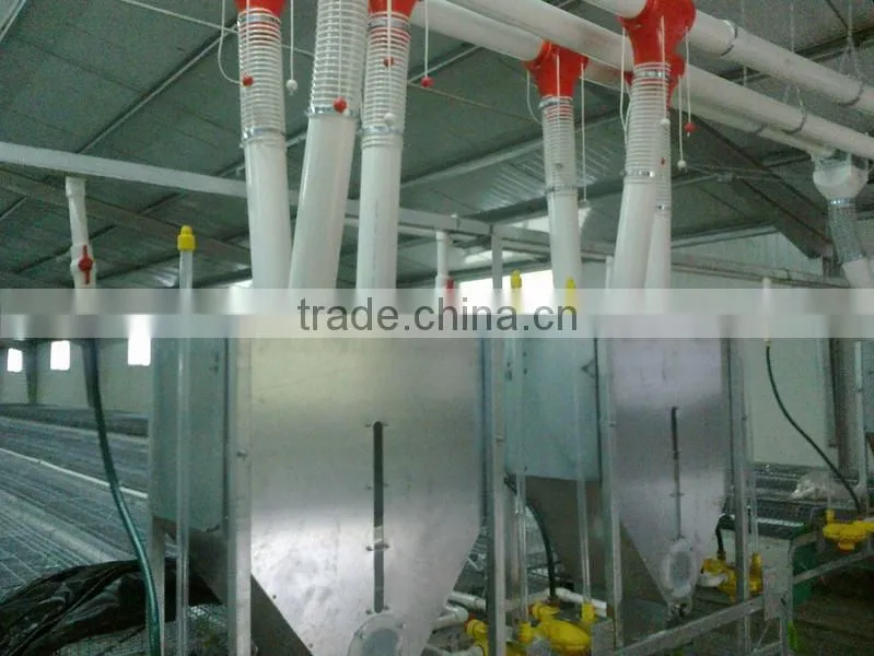 Automatic Rabbit Farming Equipment for Rex Rabbit