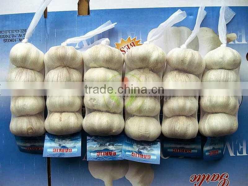 4.5cm Pure White Garlic (mesh bag)