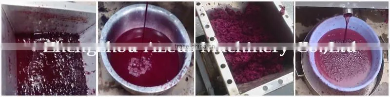 Large capacity spent grain screw squeezer machine/spent grain dewatering machine