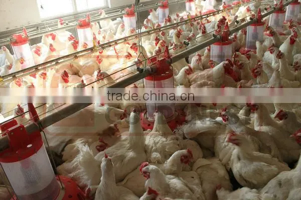 poultry farm equipment
