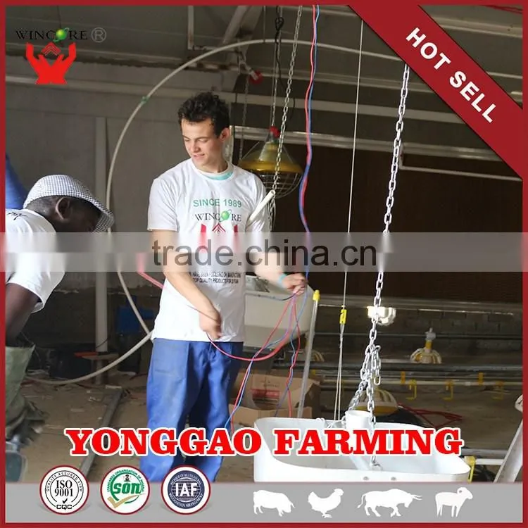 Automatic Poultry House Animal feeding line for broiler chicken Poultry equipment in Animal feeding system