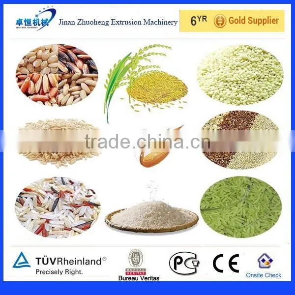 Nutrition Rice/Artificial Rice Process Machine
