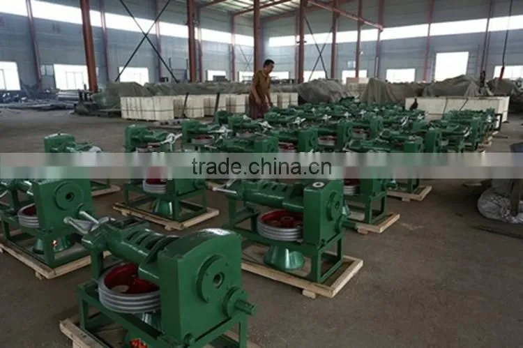 Homeuse Automatic Spiral Groundnut/Peanut Oil Extruder