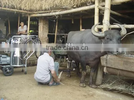 most popular and best selling cow milking machine price