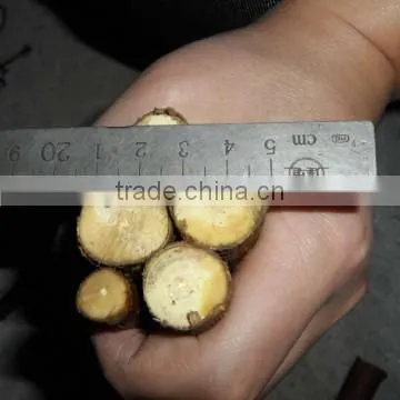 Hotsale Industrial 3 to 15 cm Long sections Licorice Cutter Machine