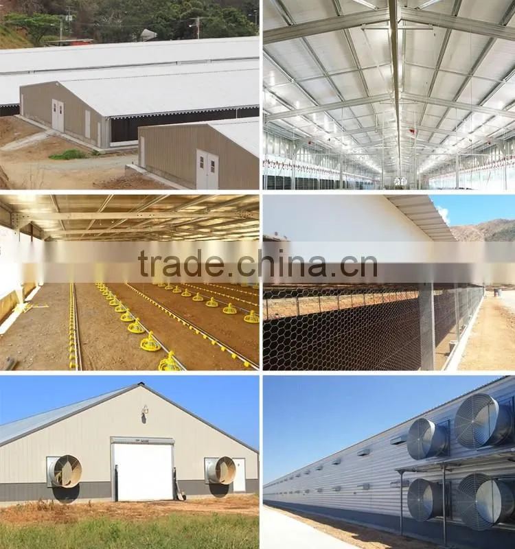 China Prefab Structural Civil Engineering Steel Design
