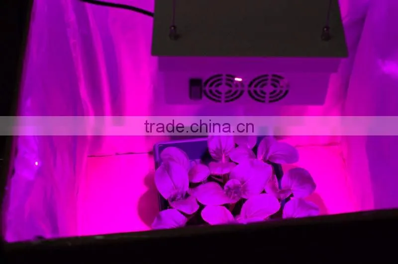 grow light 150w vanq indoor led Plant lamp full specturm cob led