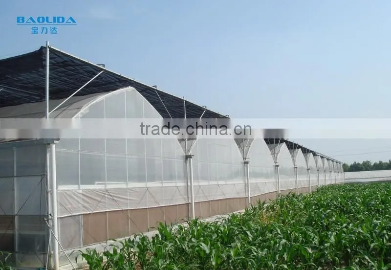200 Micron Plastic Film Greenhouse For Vegetables