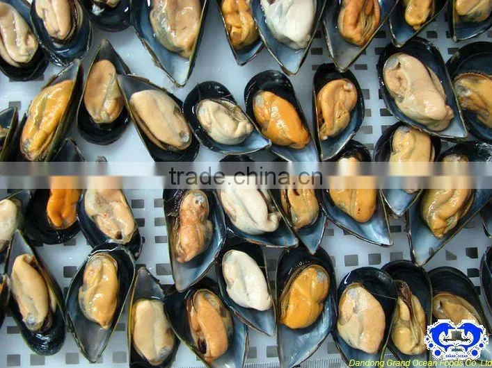 IQF chair de moules avec demi coque