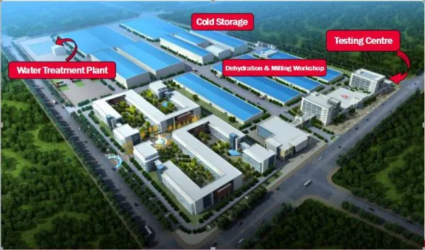 Qingdao Manhang International Trade Co.,Ltd company overview - view 4