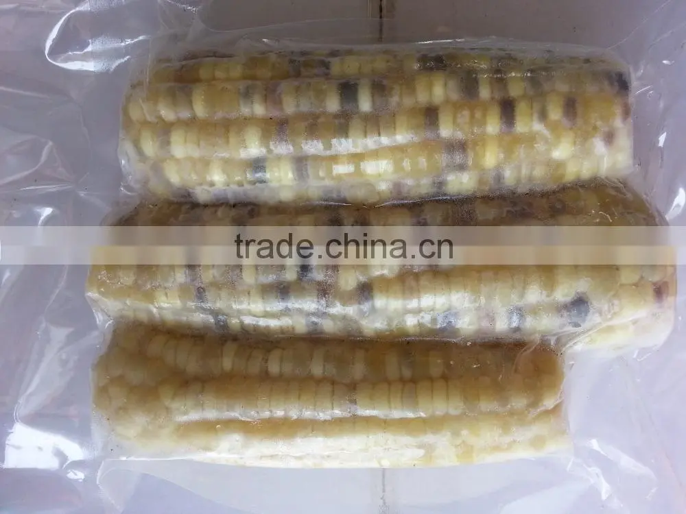 USA Frozen Yellow Sweet Corn from Vietnam